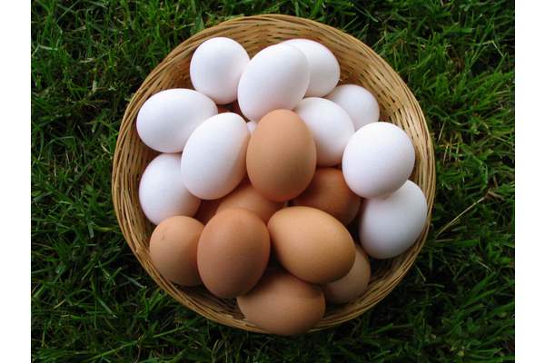 Яйца увеличивают риск возникновения диабета второго типа
