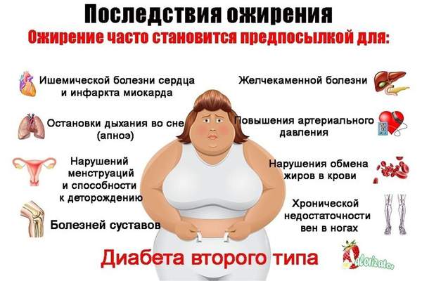 Какой гормон виноват в ожирении? Какой гормон виноват в ожирении?