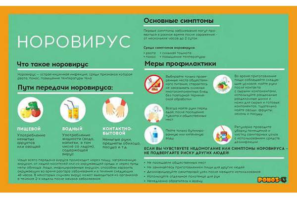 Ученые установили, каким путем норовирус проникает внутрь клеток Ученые установили, каким путем норовирус проникает внутрь клеток