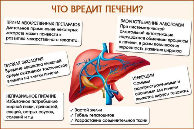 Пять безобидных привычек, которые вредят печени