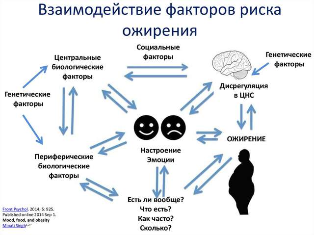 Взаимоотношения вида ожирения и риска смерти у женщин