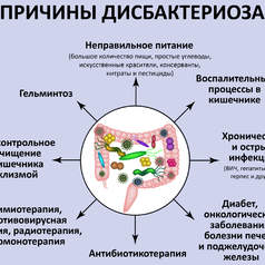Дисбиоз кишечника (Дисбактериоз)