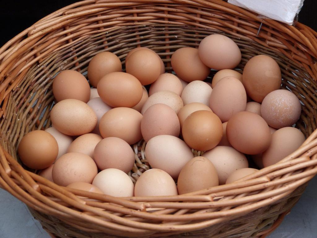Какие должны быть домашние яйца. Яйцо. Яйцо домашнее куриное. Яйца в одной корзине. Корзина с яйцами.
